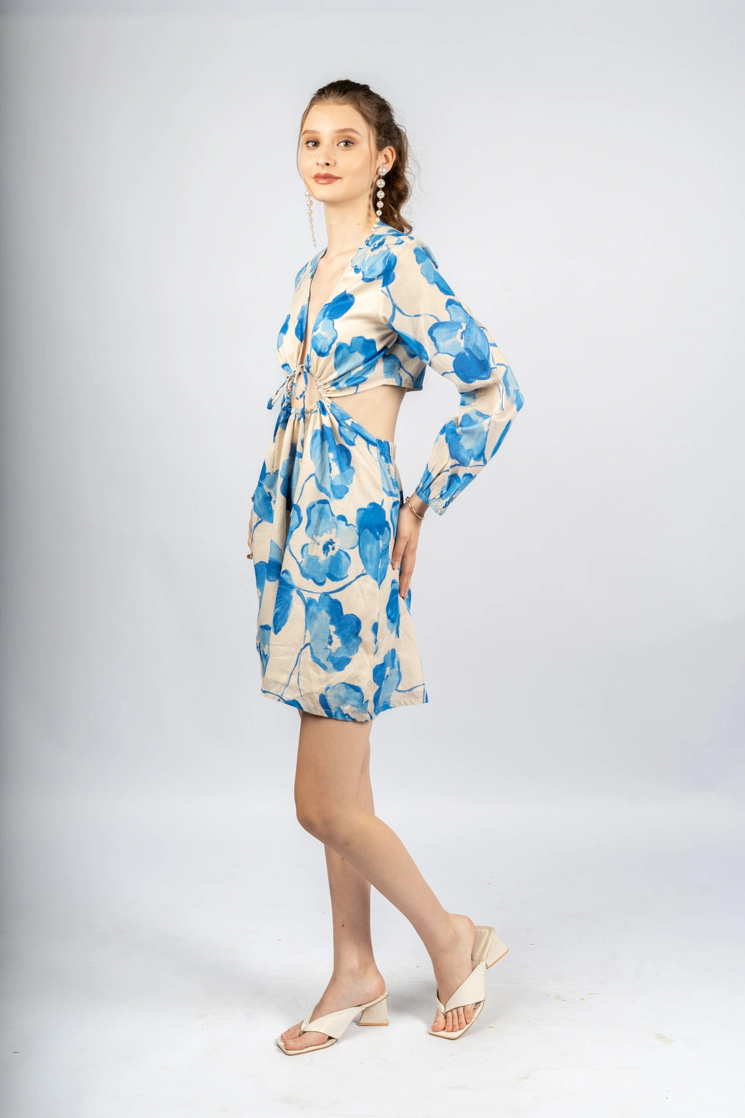 Blue & Beige Floral Cotton Cambric Fit & Flare Dress
